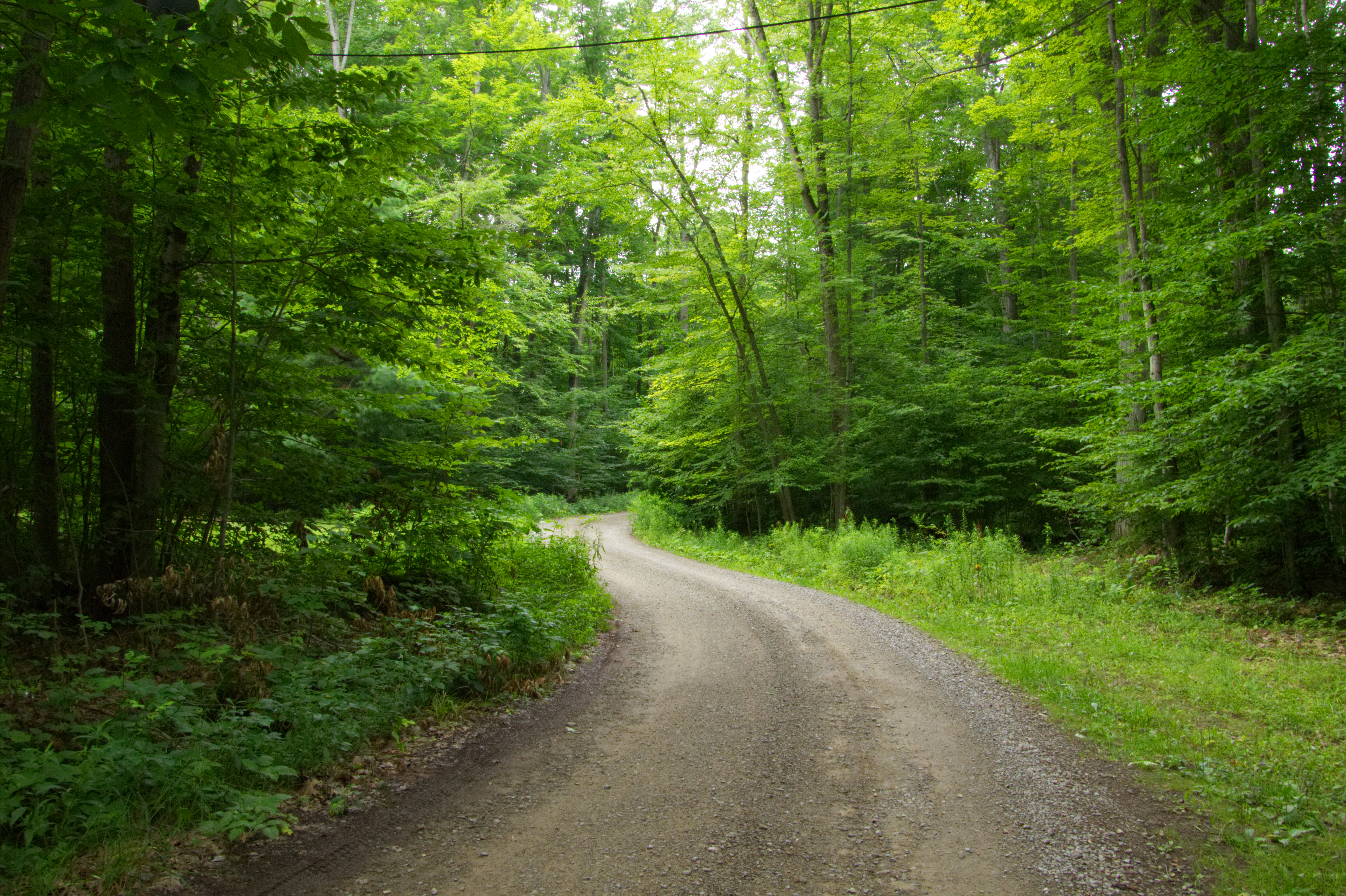 Rushford Lake 2 8-2-18